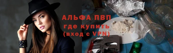 эйфоретик Касимов