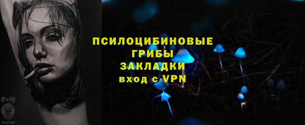 PSILOCYBIN Карталы