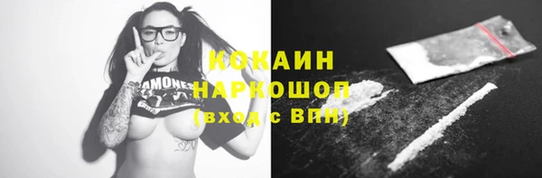 PSILOCYBIN Карталы