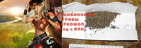 PSILOCYBIN Карталы