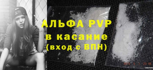 PSILOCYBIN Карталы
