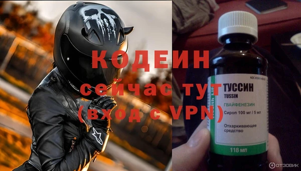 PSILOCYBIN Карталы