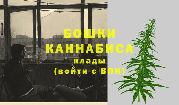 PSILOCYBIN Карталы