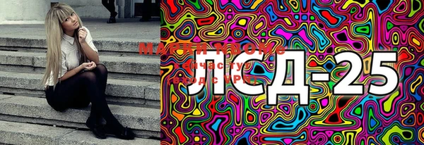 PSILOCYBIN Карталы